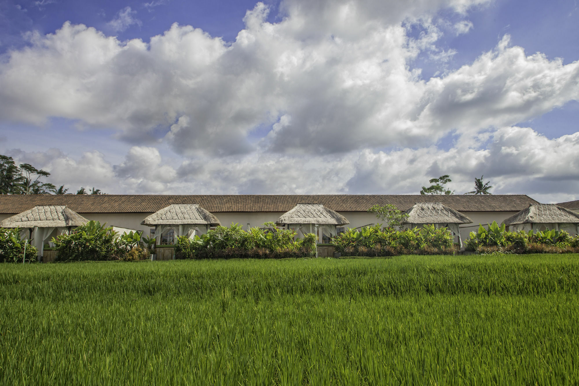 Alam Sembuwuk Ubud Exterior photo